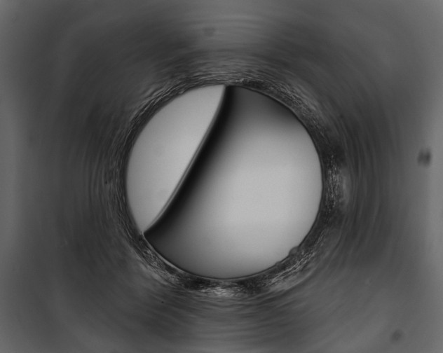 X0000100920412200806241118
