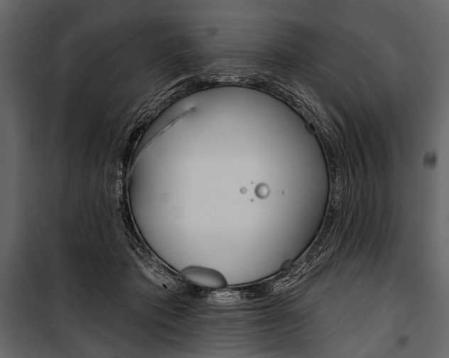 X0000100920413200806241118