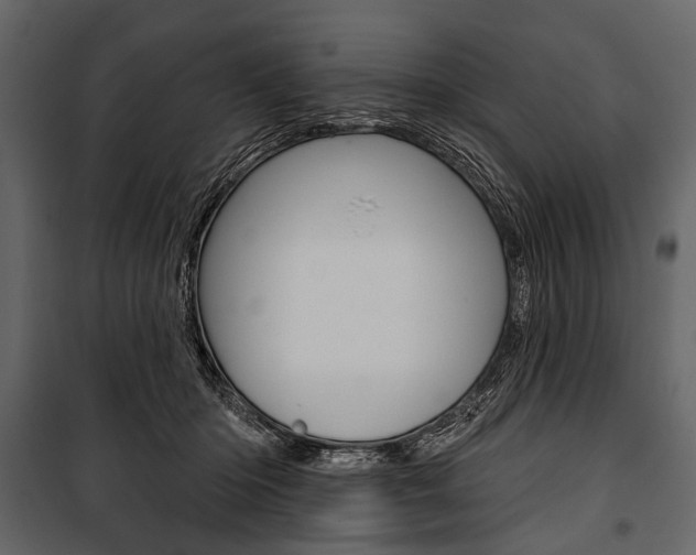 X0000100920414200806241118