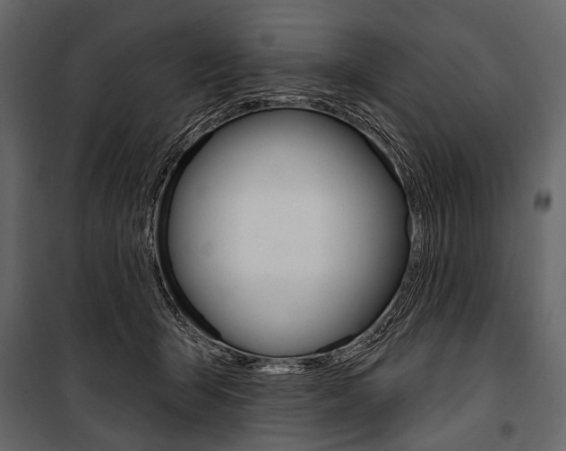 X0000100920415200806241118