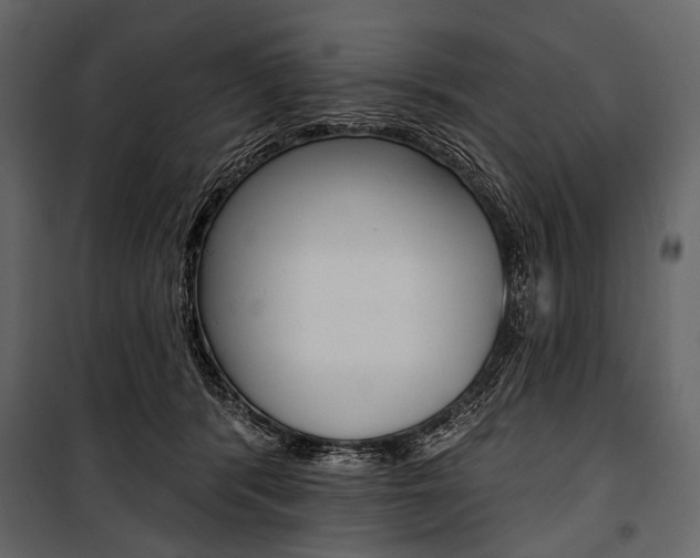 X0000100920416200806241118