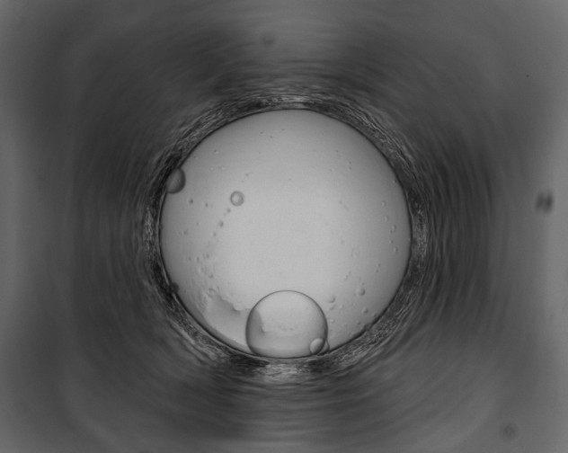 X0000100920418200806241118