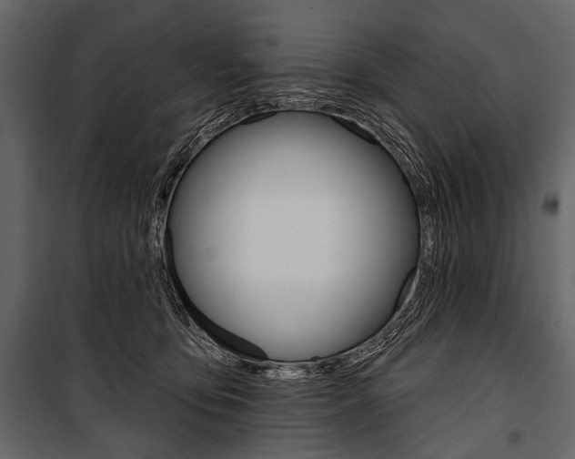 X0000100920419200806241118