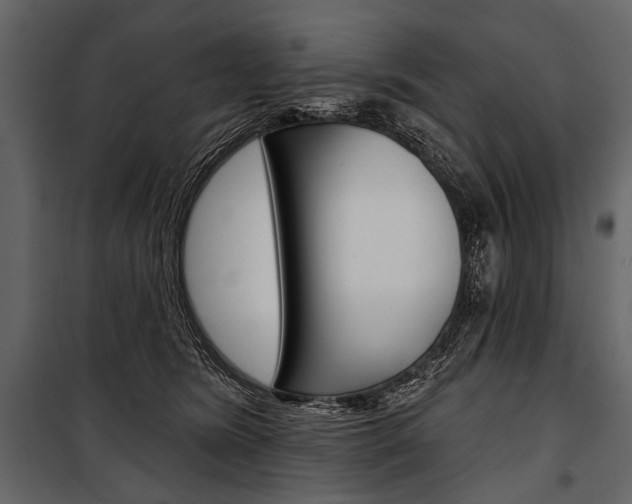 X0000100920420200806241118