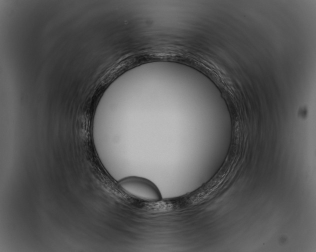 X0000100920421200806241118