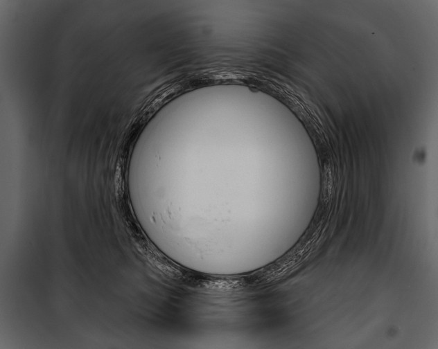 X0000100920422200806241118