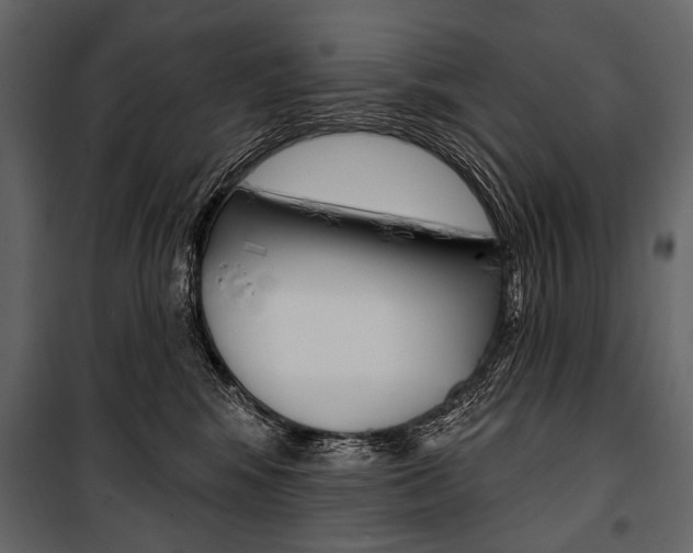 X0000100920424200806241118