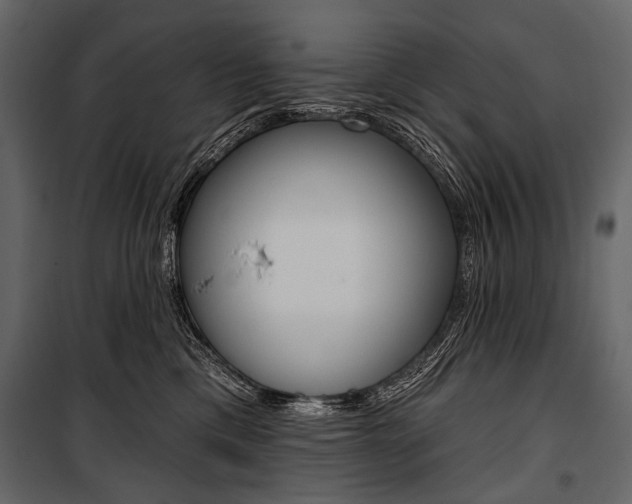 X0000100920425200806241118