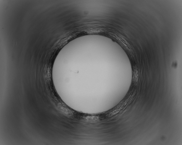 X0000100920426200806241118