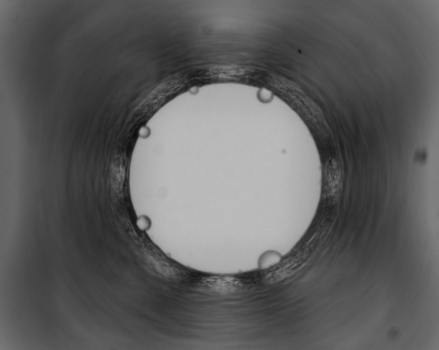 X0000100920427200806241118