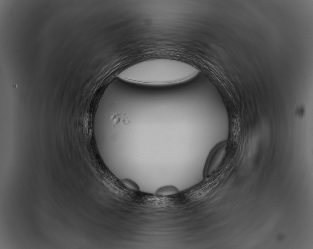 X0000100920428200806241118