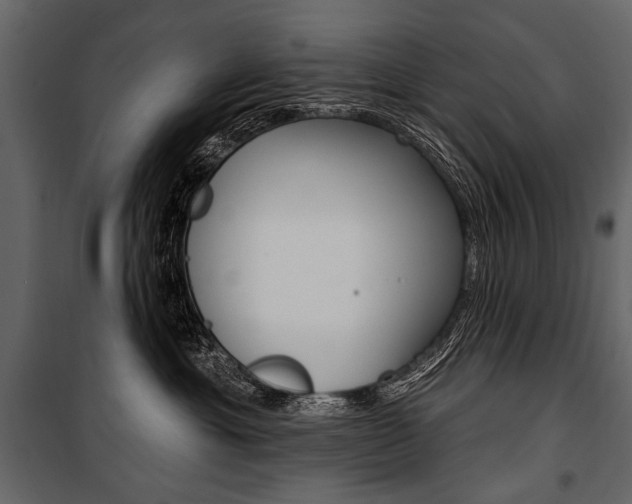 X0000100920429200806241118