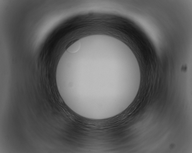 X0000100920431200806241118