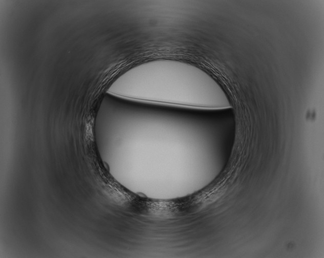 X0000100920432200806241118
