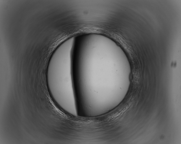 X0000100920433200806241117