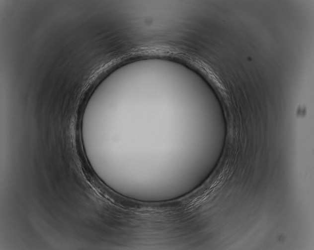 X0000100920434200806241117