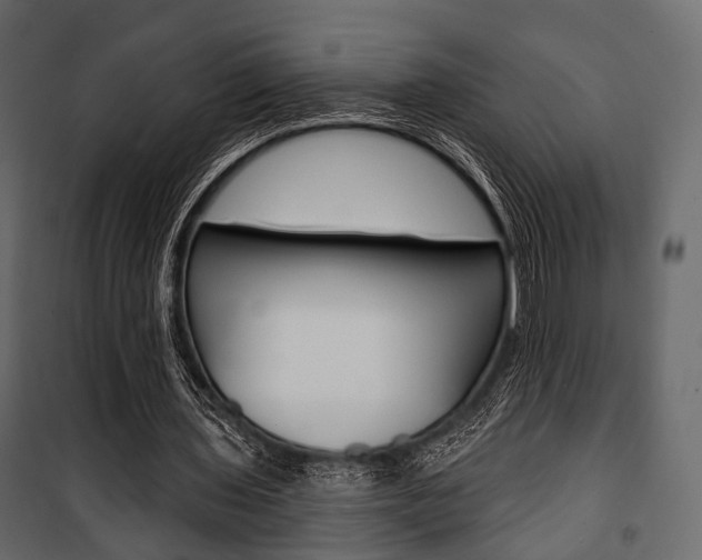 X0000100920435200806241117