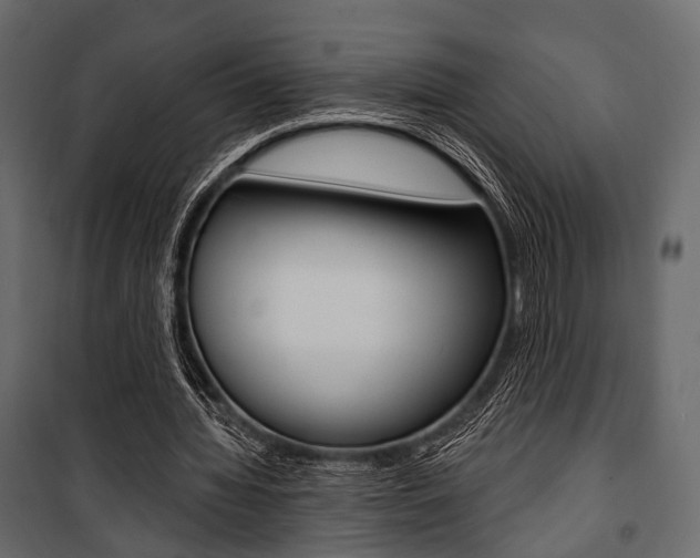 X0000100920436200806241117