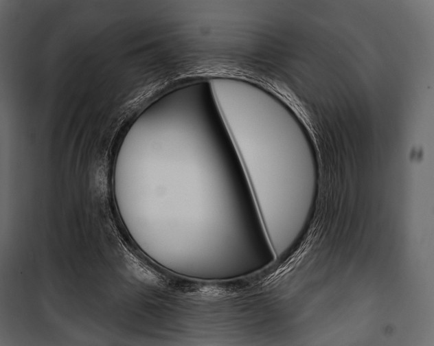 X0000100920441200806241117
