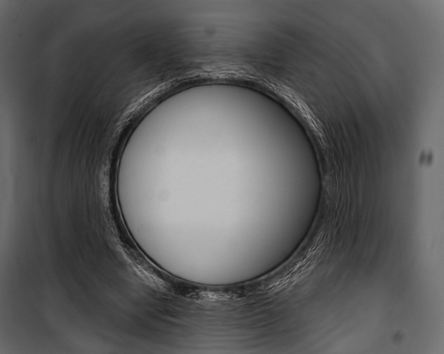 X0000100920442200806241117