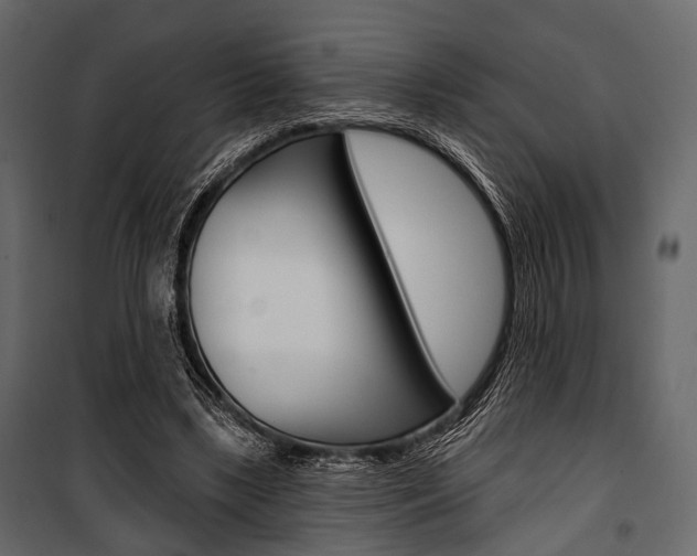 X0000100920443200806241117