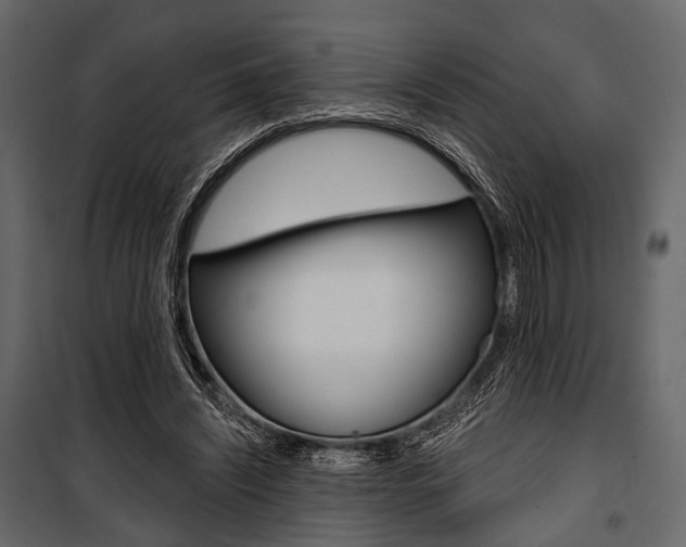 X0000100920444200806241117