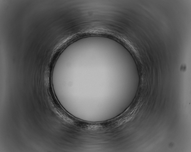 X0000100920446200806241117