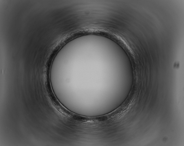 X0000100920447200806241117