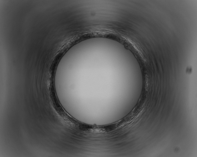 X0000100920451200806241117