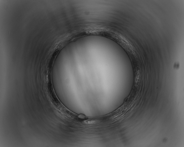 X0000100920452200806241117