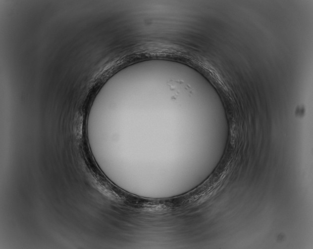 X0000100920454200806241117