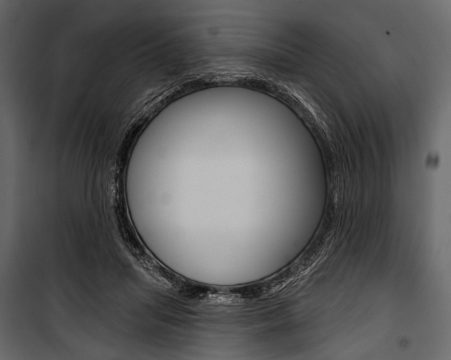 X0000100920455200806241117