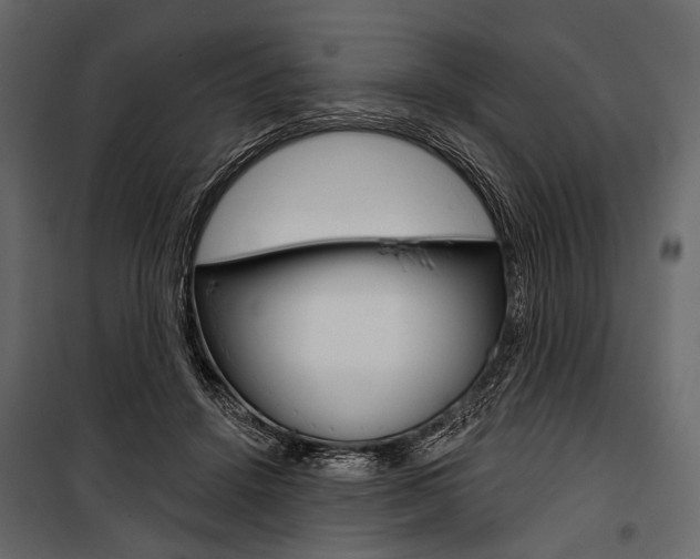 X0000100920456200806241117