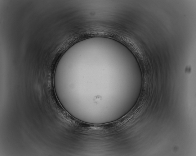 X0000100920457200806241117