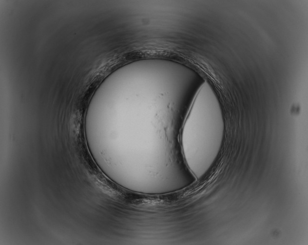 X0000100920458200806241117