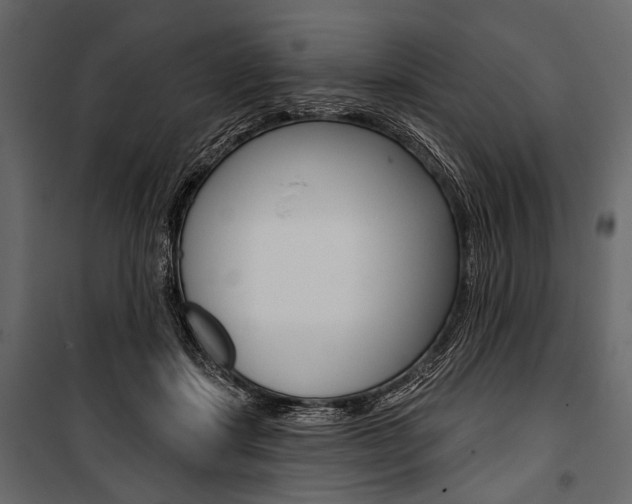 X0000100920459200806241117