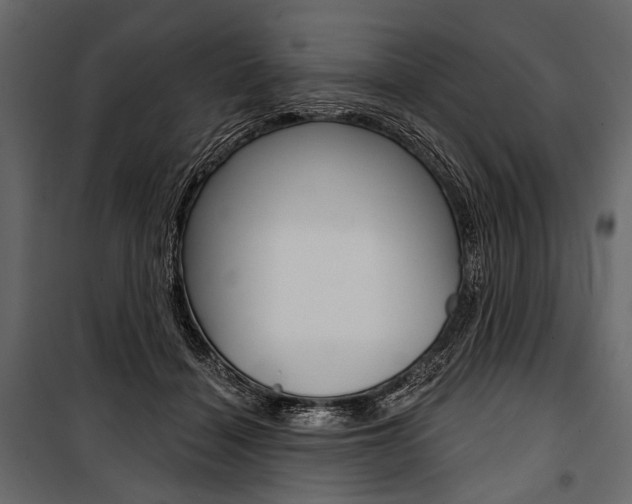 X0000100920460200806241117