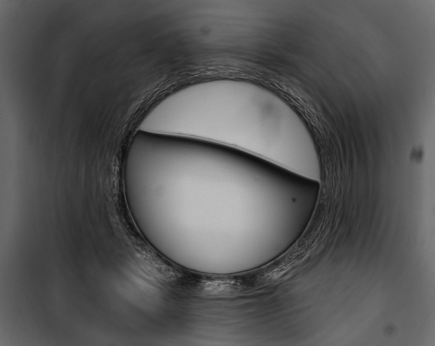 X0000100920461200806241117