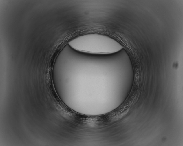 X0000100920462200806241117