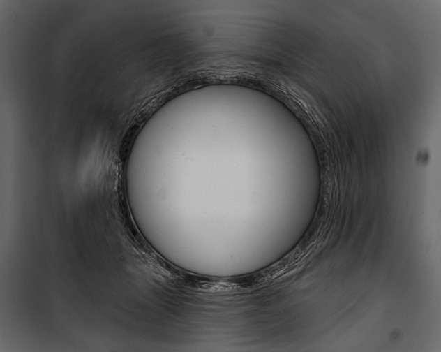 X0000100920463200806241117