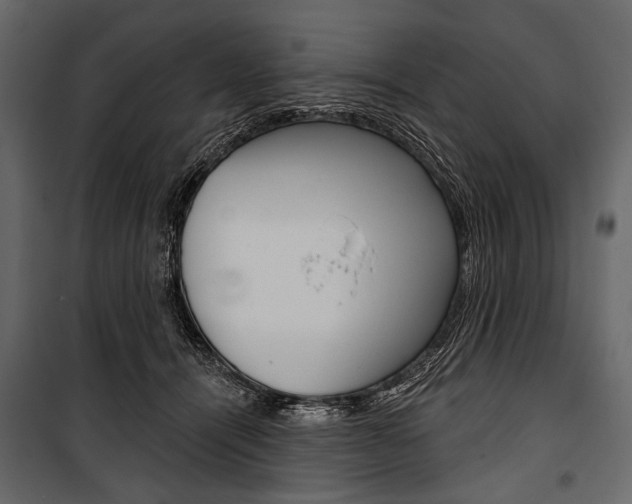 X0000100920464200806241117