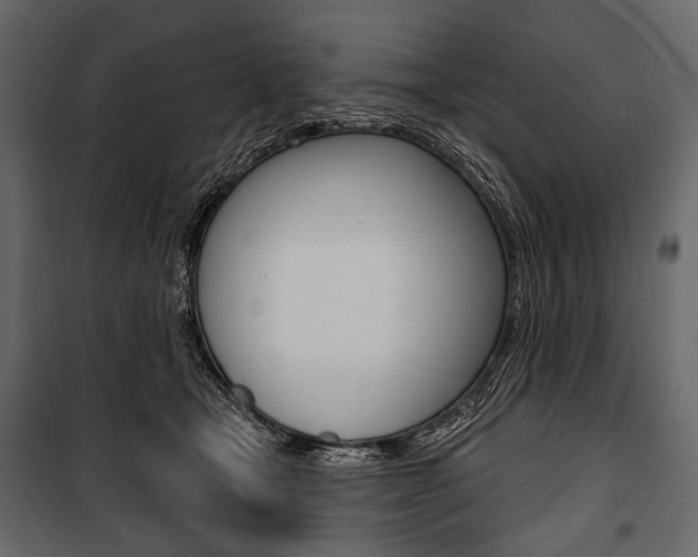 X0000100920465200806241117