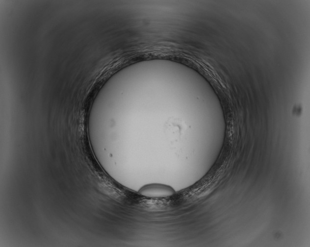 X0000100920466200806241117
