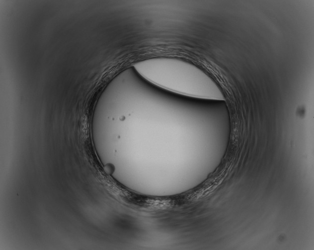 X0000100920469200806241117