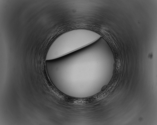 X0000100920470200806241117