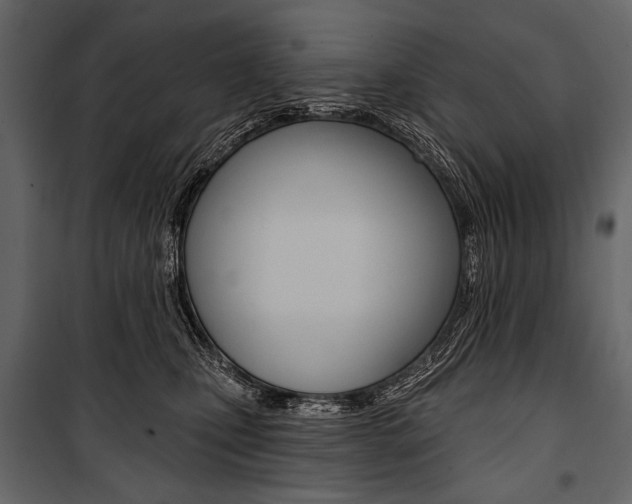 X0000100920471200806241117