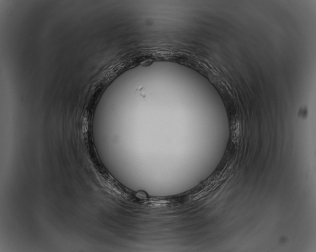 X0000100920472200806241117