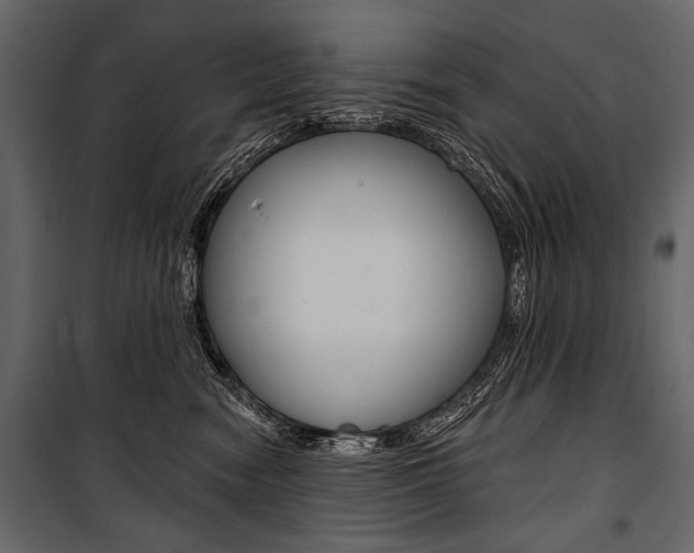 X0000100920474200806241118