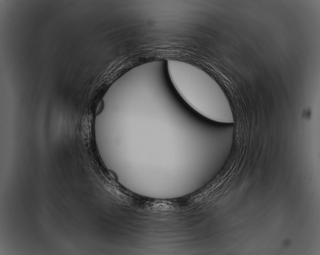 X0000100920475200806241118