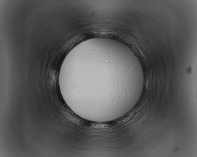 X0000100920476200806241118